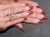formation felinails 057.jpg