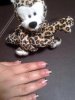12052010115.jpg