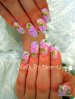 DSCN8146.JPG