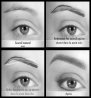 sourcils4.jpg
