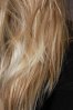 cheveux 003.jpg