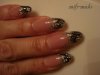 DSC01495.jpg