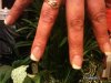 IMG_0303.jpg