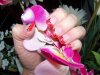 100_0182.jpg