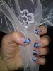 DSC00265.jpg