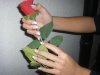 IMGP1079.jpg