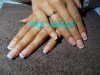 DSC00494.jpg