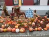 Fete du potiron Logelheim 015.jpg