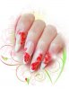 acryl 3d coquelicot kodi.jpg