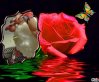 9326370ad3c9dc67dd3db8204a426d27.jpg