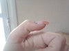2010-10-22 10.10.20.jpg