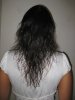 cheveux 5.9.2010.jpg