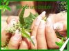 photo ongles claquetteréduit.jpg