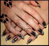 zebre1-xsmall.jpg
