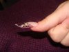 DSC08963.jpg