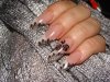 DSC08918.jpg