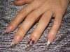 DSC08937.jpg