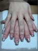 DSC00768.jpg