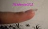 DSCN5307.jpg
