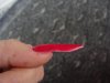 DSC09215.jpg