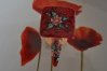 CSC_0243.jpg