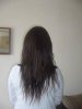 EXTENSIN HAIR.2  JPG.jpg