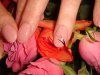 DSC02816.jpg