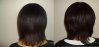 comparaison cheveux 1.JPG
