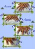 Ma Formation De Styliste Ongulaire-2.alb - 23.jpg