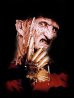 freddy3.jpg
