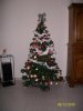 Décoration et sapin de noel 2010 (2).jpg