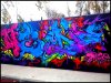 DSC00135.jpg