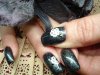ongles 10 décembre 005.jpg