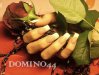 DOMINO44.jpg
