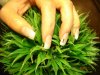 Passio'Nails 012.jpg