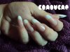 DSC01192.JPG