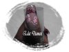 DSCF2775.jpg