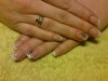 DSC02247.jpg