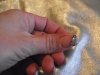 DSCF0195.jpg