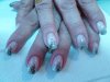 P1000388-redim1024.jpg