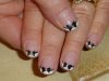 DSC05256.jpg