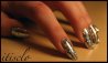 foils3-small.jpg