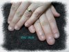 DSC01085.jpg