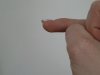 P1000167.jpg