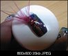 da74deb50a89deb0784cf1b647df6c7f[1].jpg