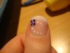 DSC03557.jpg