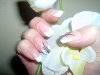 essais one strock 002.JPG