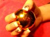 DSCN0533.jpg