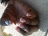 2011-01-14 15.10.54.jpg
