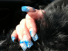 image-1181548038.png